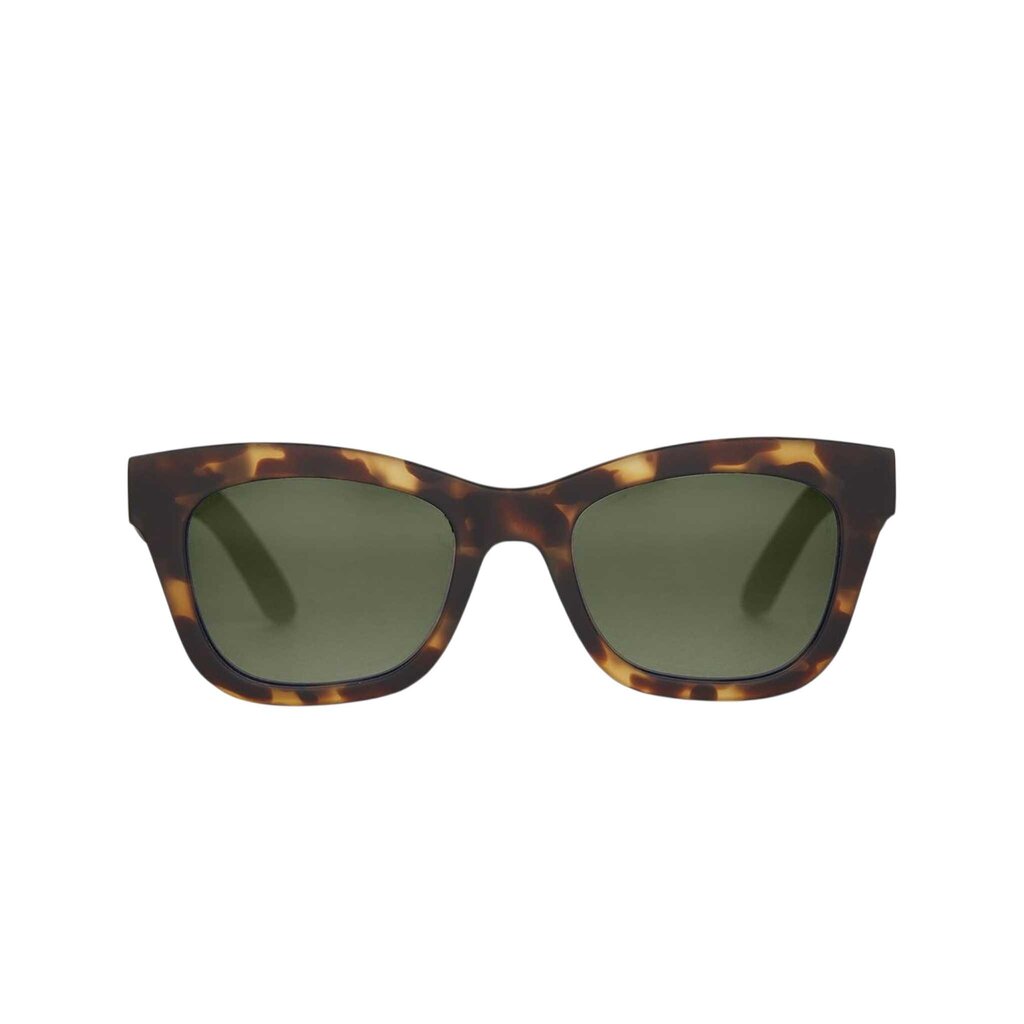 TOMS PALOMA sunnies